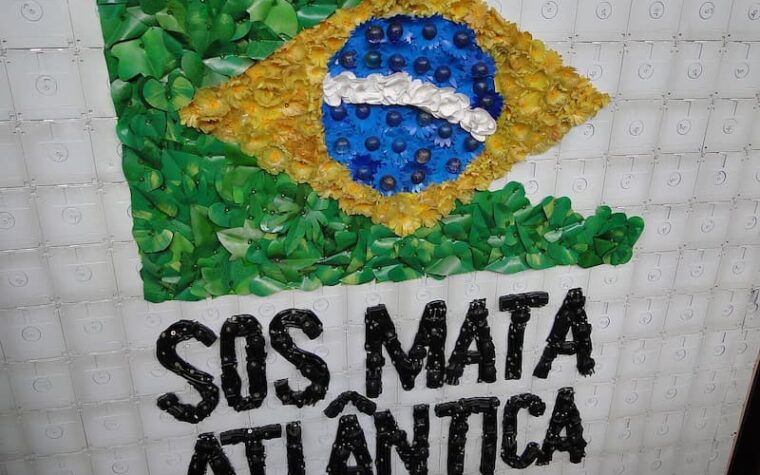 Inscrições abertas para curso gratuito da Fundação SOS Mata Atlântica