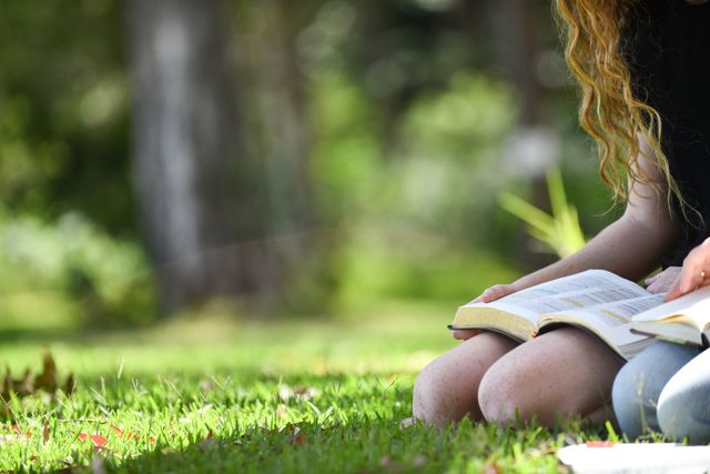 Inscrições para especialização gratuita em Gestão de Projetos Ambientais começam em 10/08